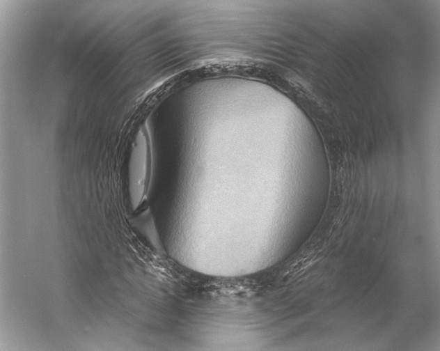 X0000058820822200510171534