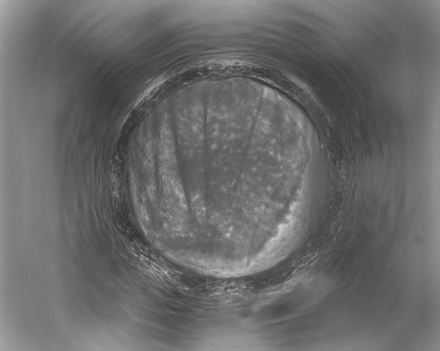 X0000058820823200510171534