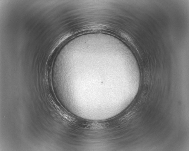 X0000058820827200510171535