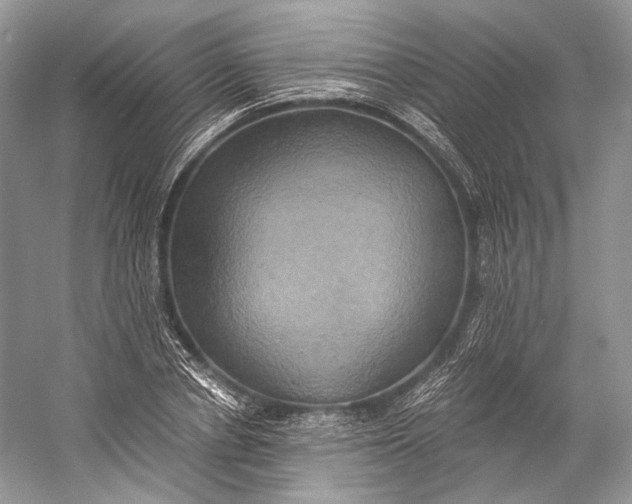 X0000058820834200510171535