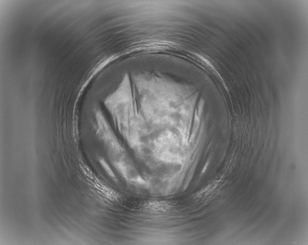 X0000058820835200510171535