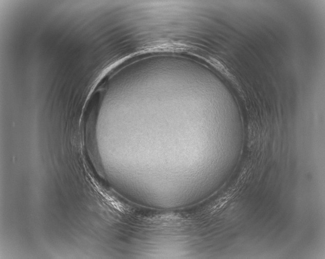 X0000058820838200510171535