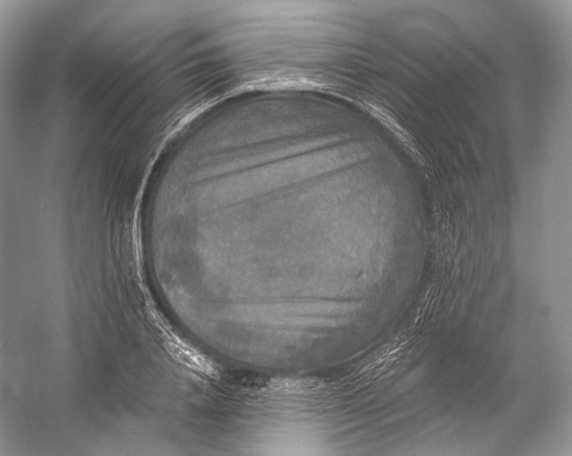 X0000058820840200510171535