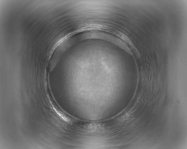 X0000058820842200510171535