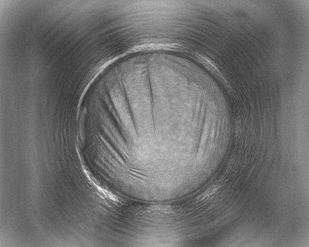 X0000058820844200510171535