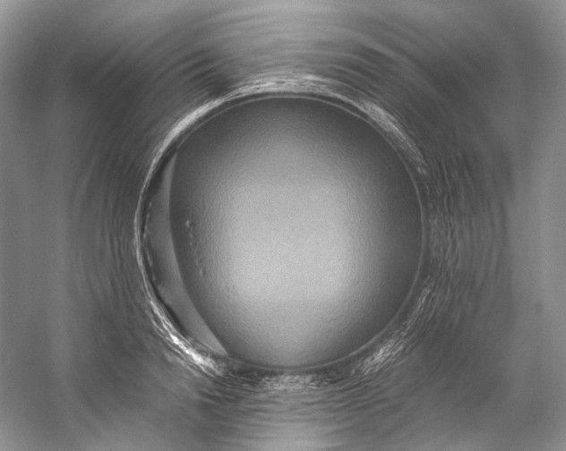 X0000058820846200510171535
