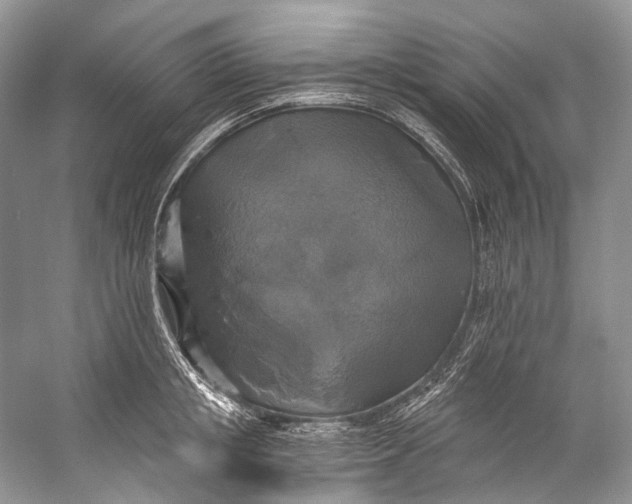 X0000058820853200510171535