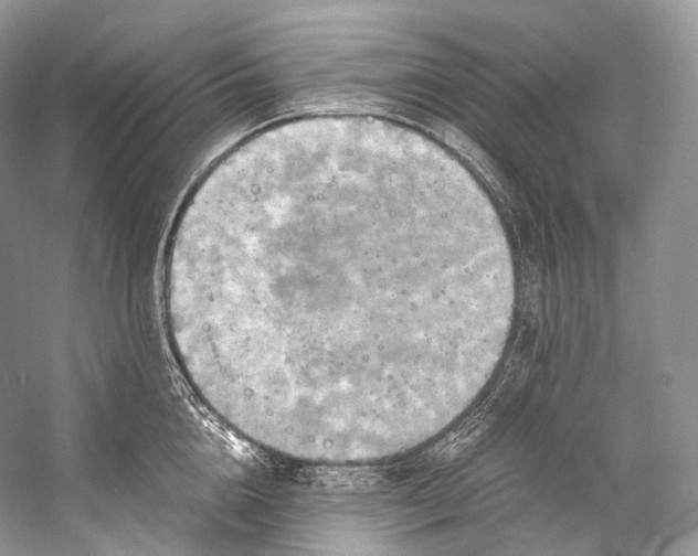 X0000058820856200510171535