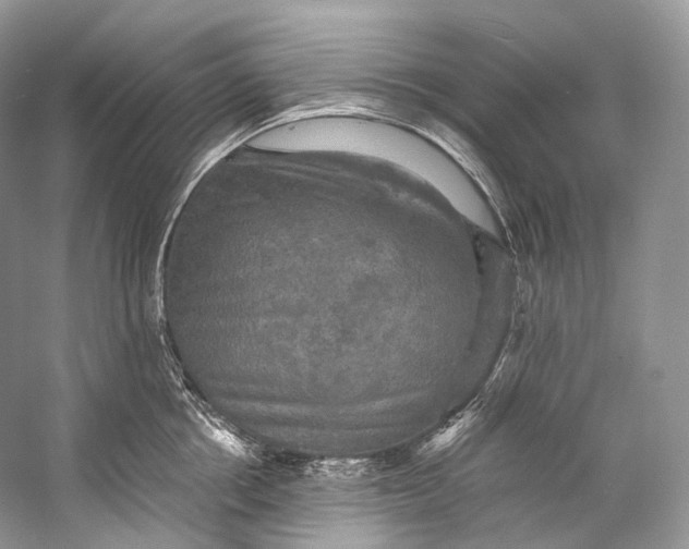 X0000058820858200510171535