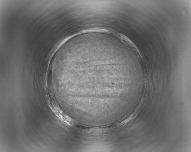 X0000058820860200510171535
