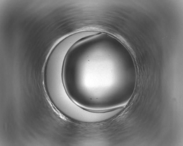 X0000058820862200510171535