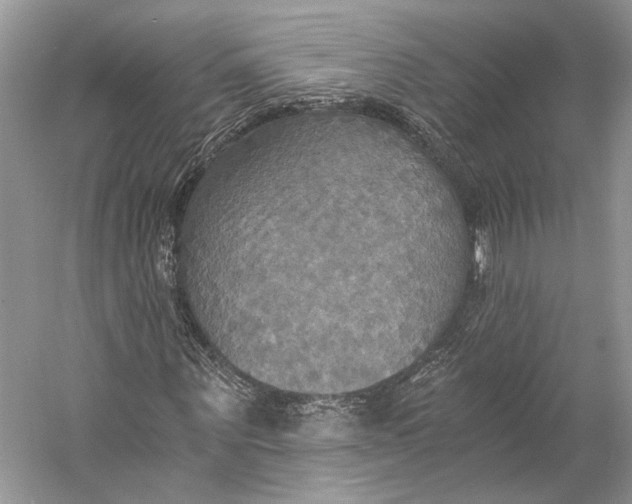 X0000058820867200510171534