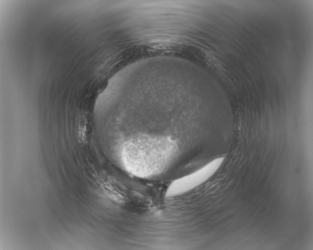 X0000058820868200510171534