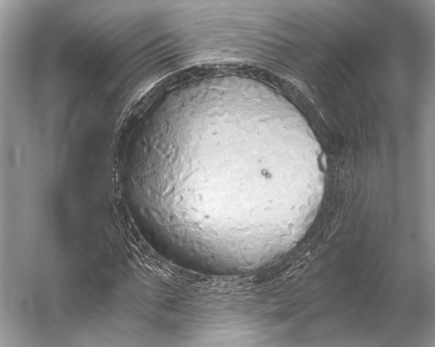 X0000058820871200510171534