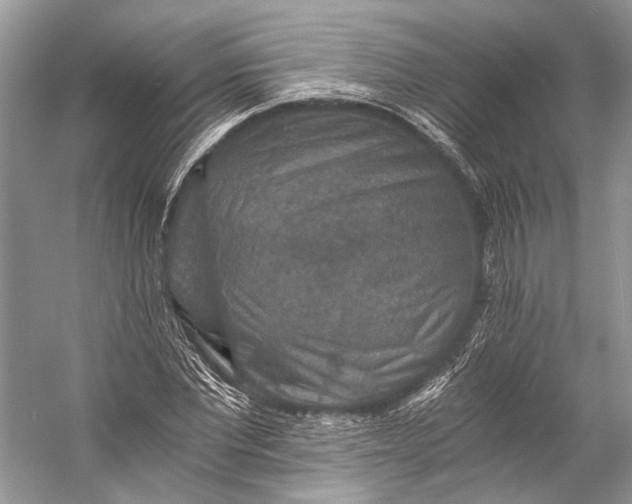 X0000058820877200510171534