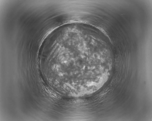 X0000058820879200510171534