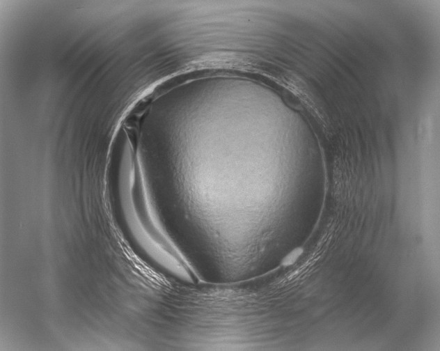 X0000058820880200510171534