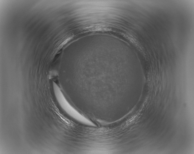 X0000058820881200510171534
