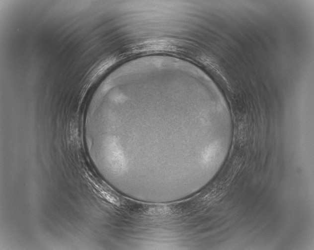 X0000058820882200510171534