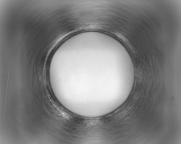 X0000058820886200510171534