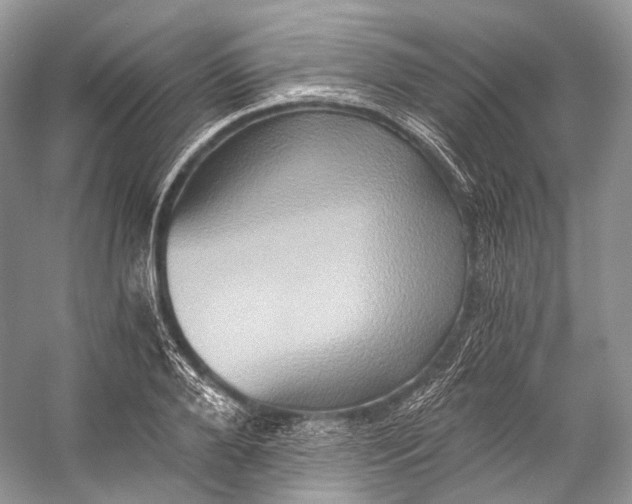 X0000058820888200510171534