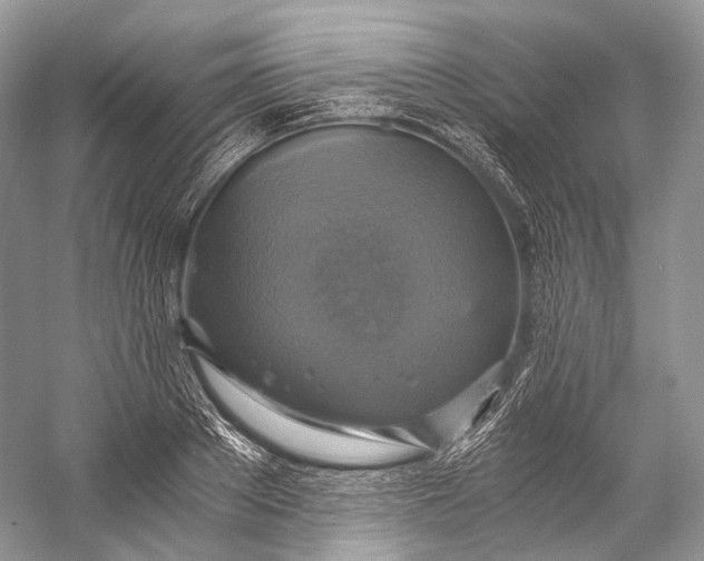 X0000058820889200510171534