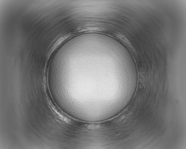 X0000058820890200510171534