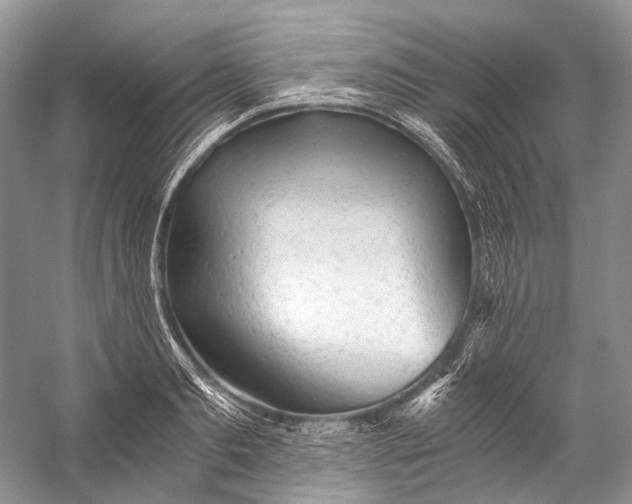 X0000058820893200510171534