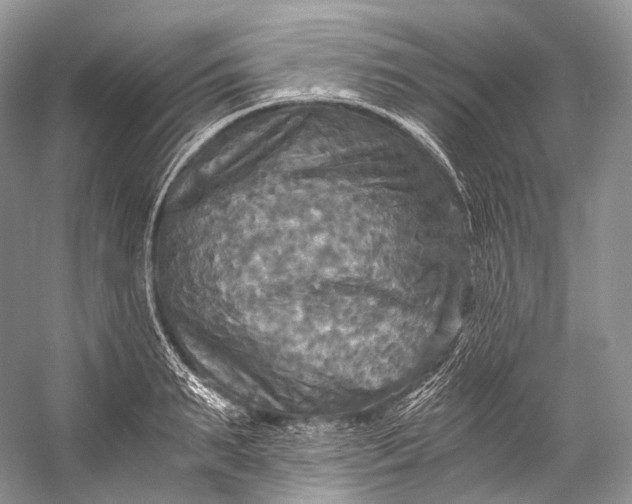 X0000058820895200510171534