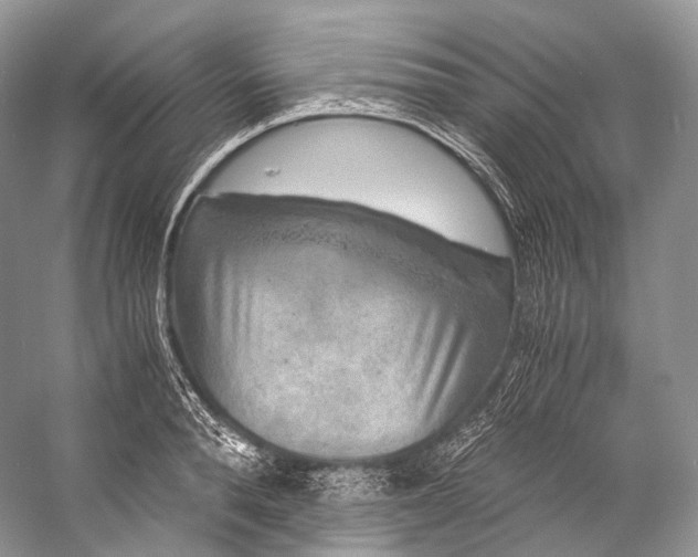 X0000058820896200510171534