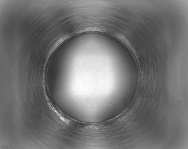 X0000058820898200510171534