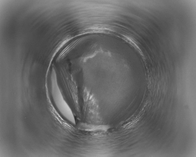 X0000058820899200510171534