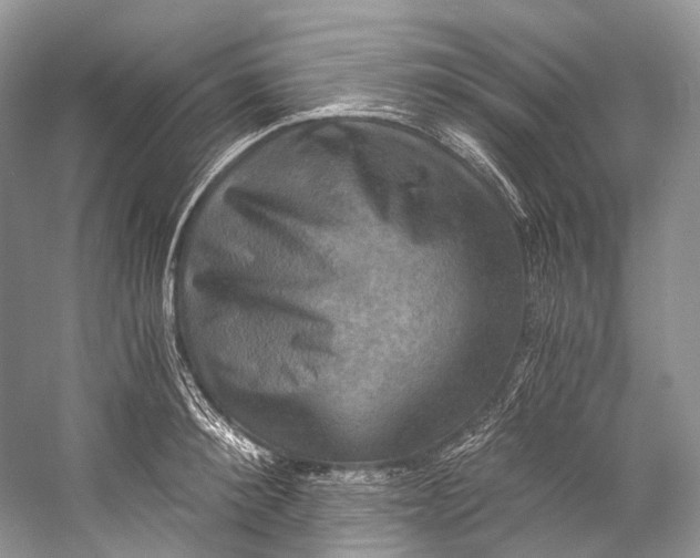 X0000058820900200510171534