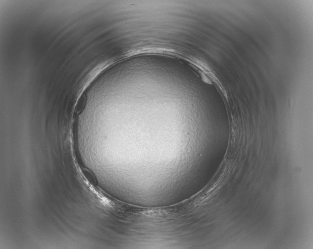X0000058820906200510171534