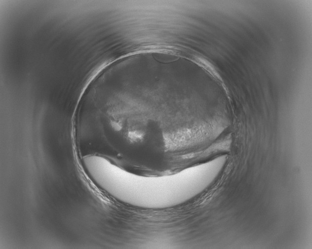 X0000058820907200510171534