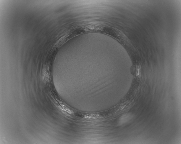 X0000058820915200510171533