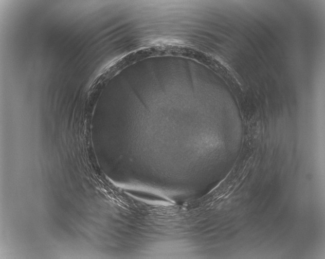 X0000058820919200510171533