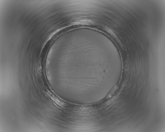 X0000058820923200510171533