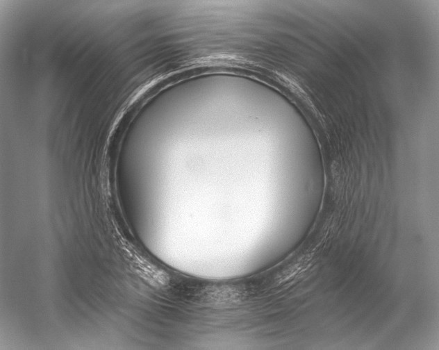 X0000058820931200510171533