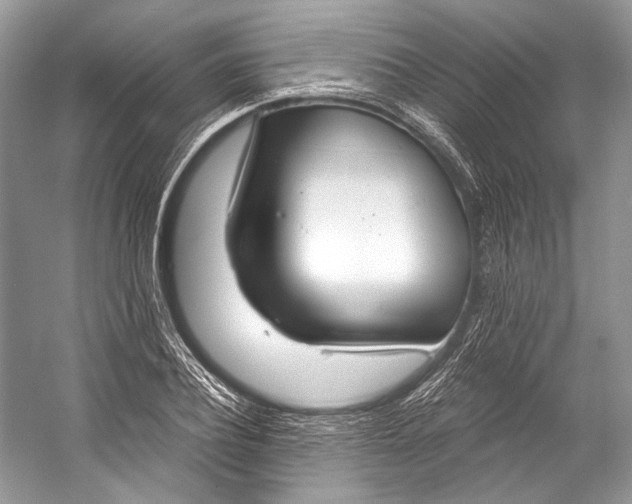 X0000058820932200510171533