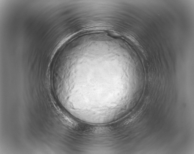 X0000058820933200510171533