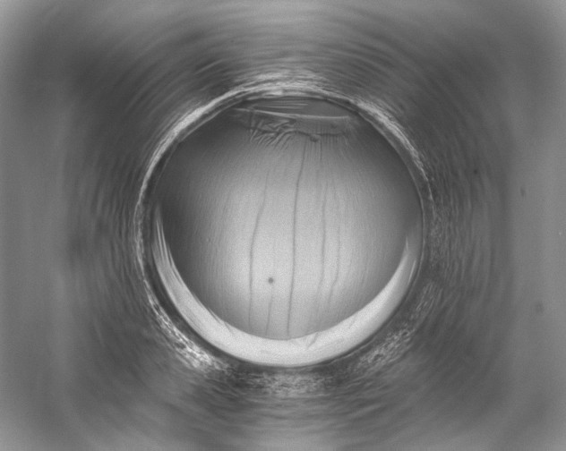 X0000058820941200510171533