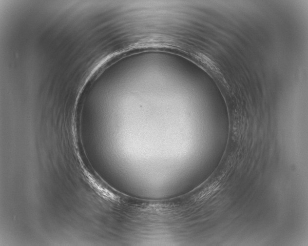 X0000058820942200510171533