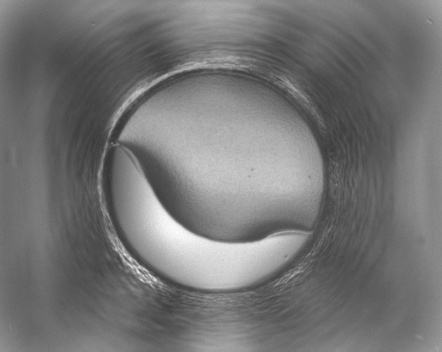 X0000058820944200510171533