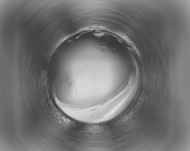 X0000058820945200510171533