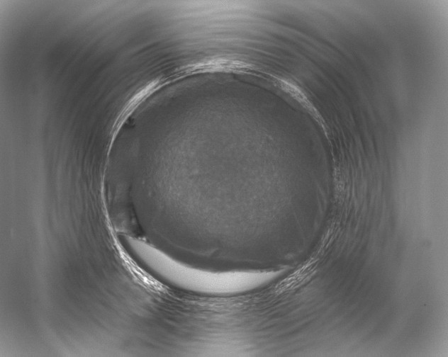 X0000058820946200510171533