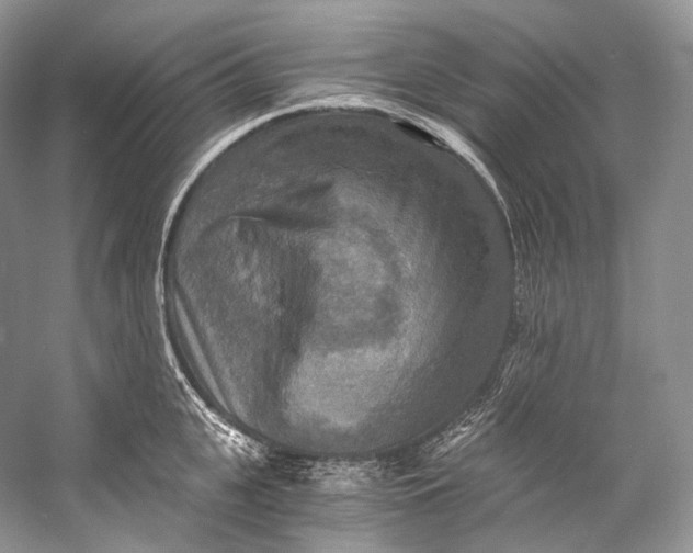 X0000058820951200510171533