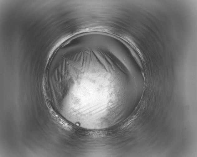 X0000058820952200510171533