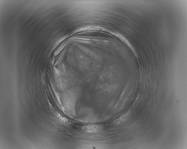 X0000058820953200510171533