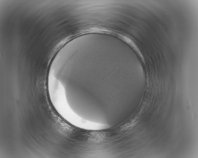 X0000058820954200510171533